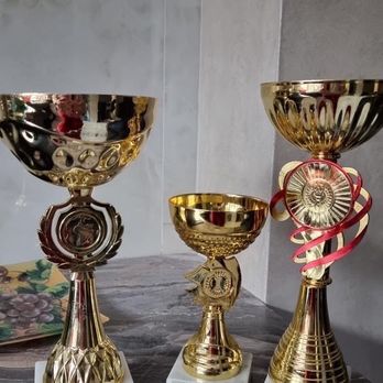 Dobrev Coons Cattery - Awards - Pet Breeders Near Me