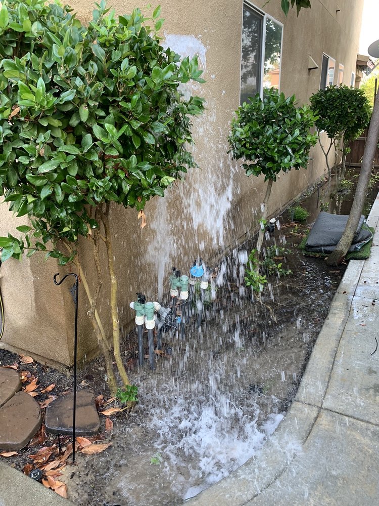 SCHWARZY’S SPRINKLER REPAIR Updated May 2024 36 Reviews Murrieta