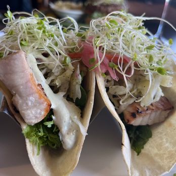 The Booch Bar - Tacos with tuna - Breakfast & Brunch Near Me - Hilo, Hawaii The Booch Bar - Tacos with tuna - Breakfast & Brunch Near Me - Hilo, Hawaii