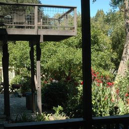 The view from our deck...
