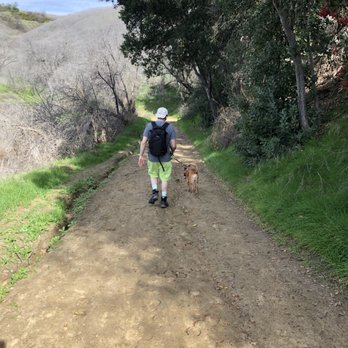 Powder Canyon - Hiking Near Me - La Habra Heights, California Powder Canyon - Hiking Near Me - La Habra Heights, California
