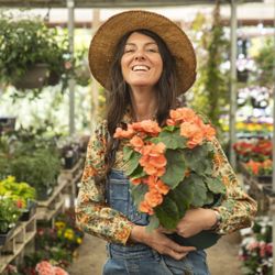 Valley Hills Nursery - VHN offers beautiful reiger begonias