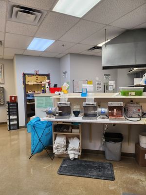 Affordable Dentures & Implants