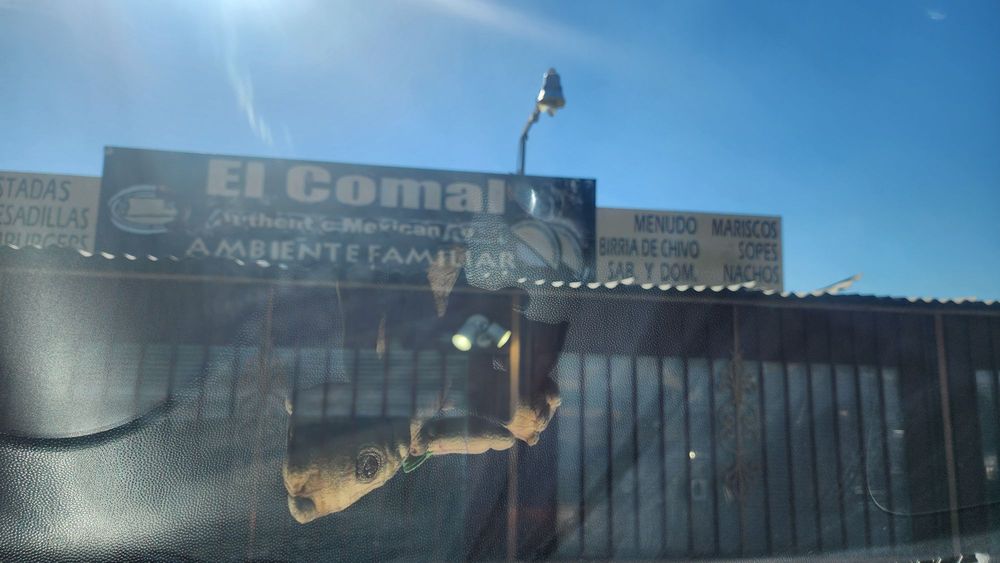 El Comal — Mexican restaurant in Nuevo