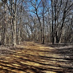 Little Elm Park