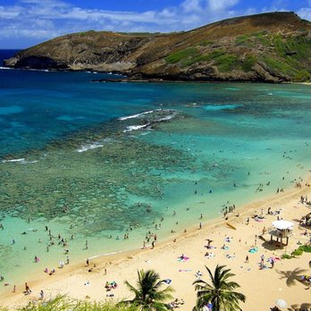 Uncle Rob's Tours - Hanauma Bay dazzles with its crystal-clear waters, vibrant marine life, and coral reefs, offering Oahu's snorkeling paradise. - Bus Tours Near Me - Urban Honolulu, Hawaii Uncle Rob's Tours - Hanauma Bay dazzles with its crystal-clear waters, vibrant marine life, and coral reefs, offering Oahu's snorkeling paradise. - Bus Tours Near Me - Urban Honolulu, Hawaii