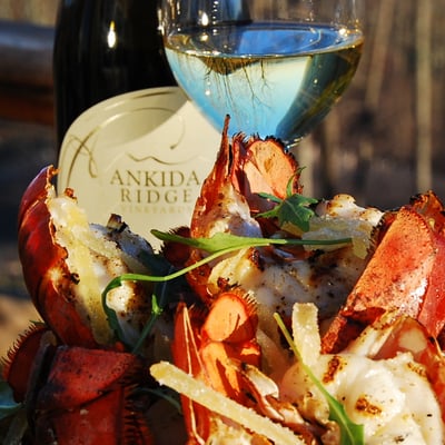 Ankida Ridge Vineyards by null