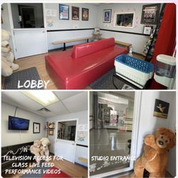 The Dance Teacher - Open and accessible viewing both with live classroom video feed and clear studio doorway.