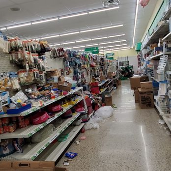 Dollar Tree - chaos - Discount Store Near Me - Alexandria, Virginia Dollar Tree - chaos - Discount Store Near Me - Alexandria, Virginia