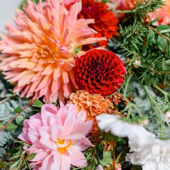 Mendocino Floral Design - Dahlias and more dahlias, plus rosemary. (Photo by Tammie Gilchrist) - Florists Near Me - Mendocino, California Mendocino Floral Design - Dahlias and more dahlias, plus rosemary. (Photo by Tammie Gilchrist) - Florists Near Me - Mendocino, California
