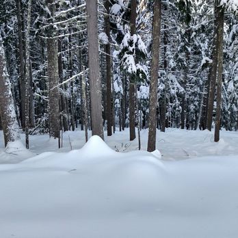 49 Degrees North Mountain Resort - Ski Resorts Near Me 49 Degrees North Mountain Resort - Ski Resorts Near Me