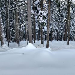 49 Degrees North Mountain Resort