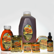 Wild Florida Honey - beekeeping in Winter Garden, FL