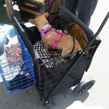 Folsom Antique Fair - Canines love Antiquing! - Antiques Near Me - Folsom, California