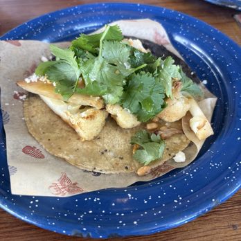 Nixta Taqueria - Cauliflower Taco - Mexican Near Me - Austin, Texas Nixta Taqueria - Cauliflower Taco - Mexican Near Me - Austin, Texas