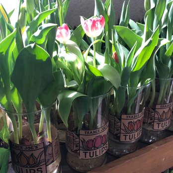 Trader Joe's - Grocery Near Me - El Cerrito, California Trader Joe's - Grocery Near Me - El Cerrito, California