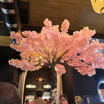 pastaRAMEN - Entry way tree - Italian Near Me - Montclair, New Jersey pastaRAMEN - Entry way tree - Italian Near Me - Montclair, New Jersey