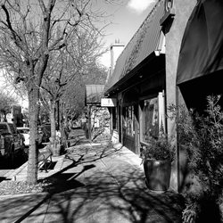 Saratoga Oaks Lodge - Saratoga, CA