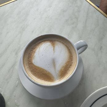 Little Frenchie - Latte - French Near Me - Coronado, California Little Frenchie - Latte - French Near Me - Coronado, California