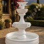 Fountain & Flora