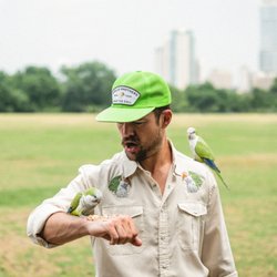 The Wild Parrots of East Austin - The wild parrot whisperer.