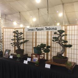 Kauai County Farm Bureau Fair - Sensei Masaki Teshima display