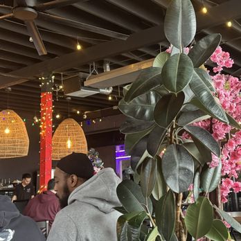 Mezcalito - Durham - Fun and lively atmosphere for the holidays - Mexican Near Me - Durham, North Carolina Mezcalito - Durham - Fun and lively atmosphere for the holidays - Mexican Near Me - Durham, North Carolina