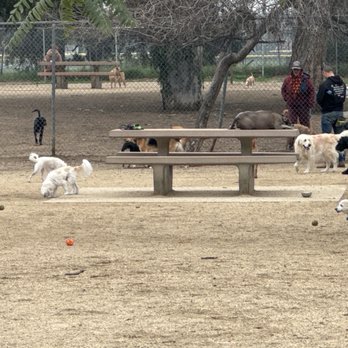 Griffith Park Dog Park - Which is the small dog area? - Dog Parks Near Me - Los Angeles, California Griffith Park Dog Park - Which is the small dog area? - Dog Parks Near Me - Los Angeles, California