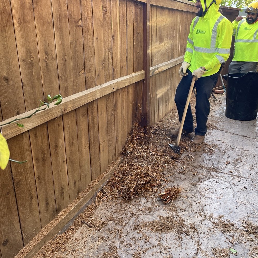 De La Cruz Jr Tree Service - More stump removal - Tree Services Near Me