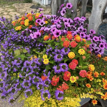 The Flower Shoppe Greenhouse - Florists Near Me - Gillett, Wisconsin The Flower Shoppe Greenhouse - Florists Near Me - Gillett, Wisconsin