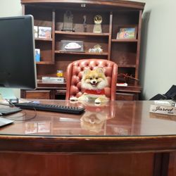 Jared Fink - State Farm Insurance Agent - Let's not kid around, the little one runs the show.