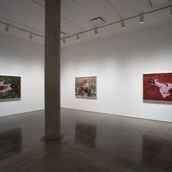 Pieter Hugo, 1994 on view through March 11, 2017