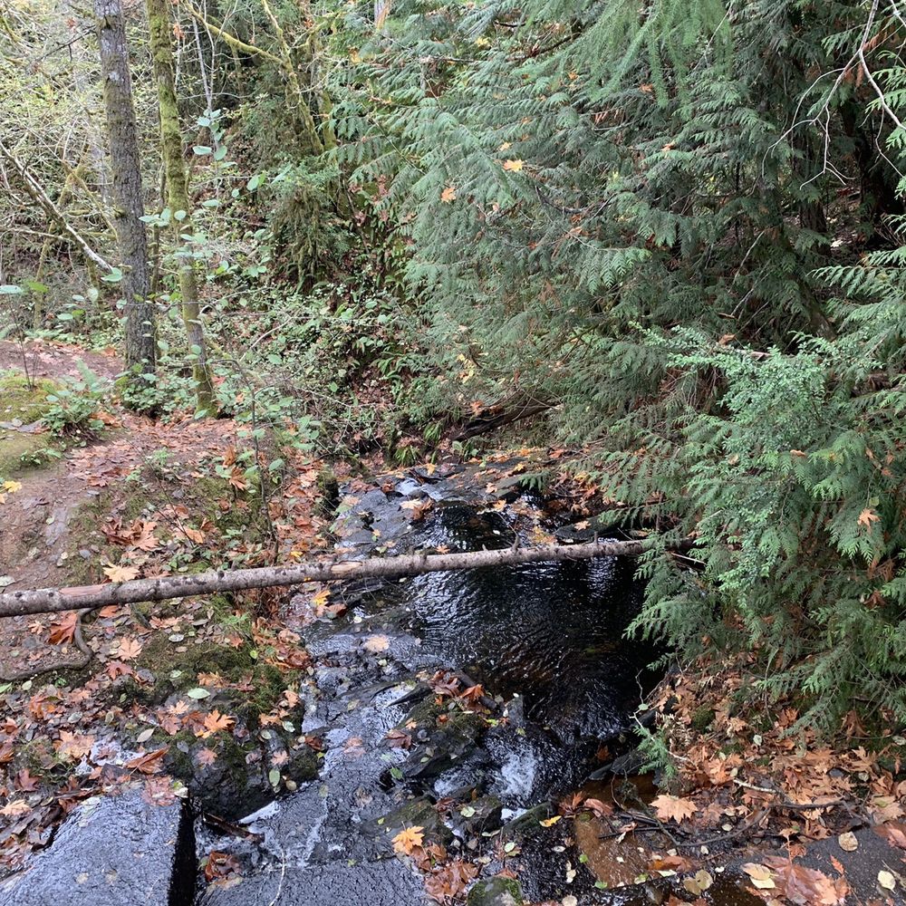 Dickerson Creek Waterfall - Hiking Near Me - Bremerton, Washington