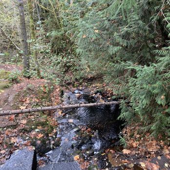 Dickerson Creek Waterfall - Hiking Near Me - Bremerton, Washington Dickerson Creek Waterfall - Hiking Near Me - Bremerton, Washington