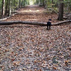 Great trails around!