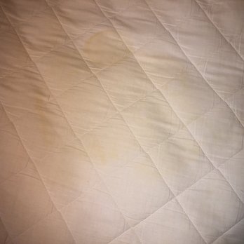 Deer Haven Inn - Fat piss stains - Hotels Near Me - Pacific Grove, California