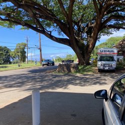 Aloha Island Mart - Beautiful Tree marks the entrance to the Waialua Shopping Center and Aloha Island Gas Market