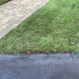 a sidewalk and lawn a sidewalk and lawn