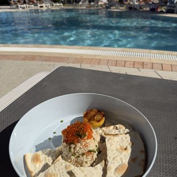 Hawks Cay Resort - Fish dip - Resorts Near Me - Duck Key, Florida Hawks Cay Resort - Fish dip - Resorts Near Me - Duck Key, Florida