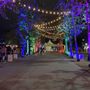 Photo of West Hollywood Park