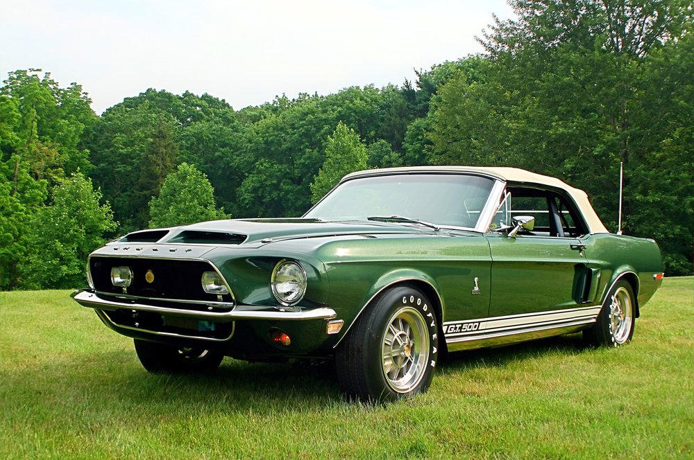 EAST END RESTORATION Updated May 2024 3 Commercial Park, Quogue