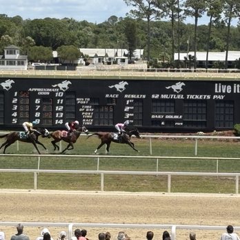 Tampa Bay Downs - Casinos Near Me - Tampa, Florida Tampa Bay Downs - Casinos Near Me - Tampa, Florida