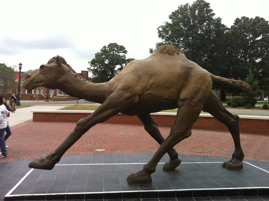 Campbell University by null