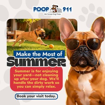 POOP 911 - Pet Waste Removal Near Me POOP 911 - Pet Waste Removal Near Me