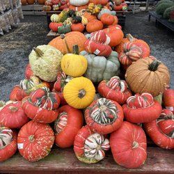 Heinz Brothers Greenhouse Garden Center