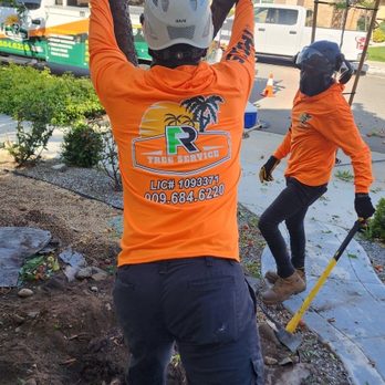 FR Tree Service - Tree Services Near Me - Oak hills , California FR Tree Service - Tree Services Near Me - Oak hills , California