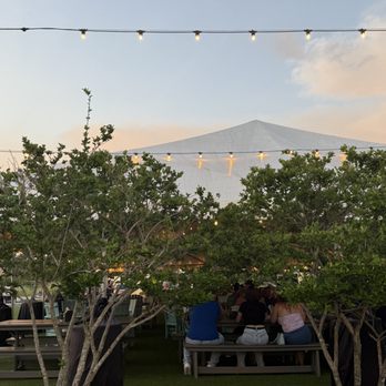 Big Top Brewing - Breweries Near Me - Sarasota, Florida