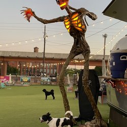 Fetch Park