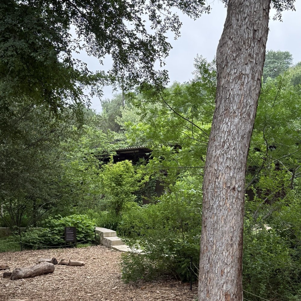 Pease Park - Parks Near Me - Austin, Texas Pease Park - Parks Near Me - Austin, Texas