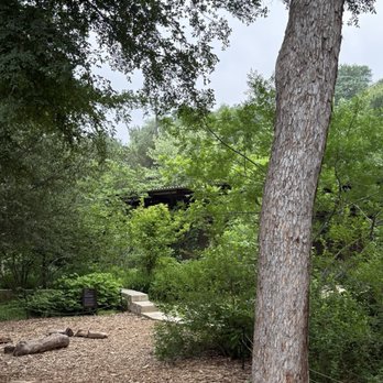 Pease Park - Parks Near Me - Austin, Texas Pease Park - Parks Near Me - Austin, Texas